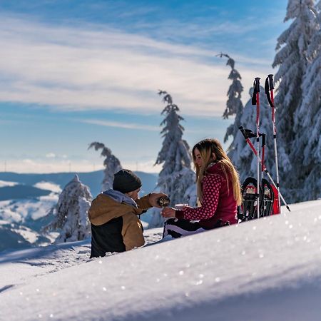 Schwarzwaldhorst 1 Fuer 8 Gaeste In Todtnau, Liftverbund Feldberg ภายนอก รูปภาพ