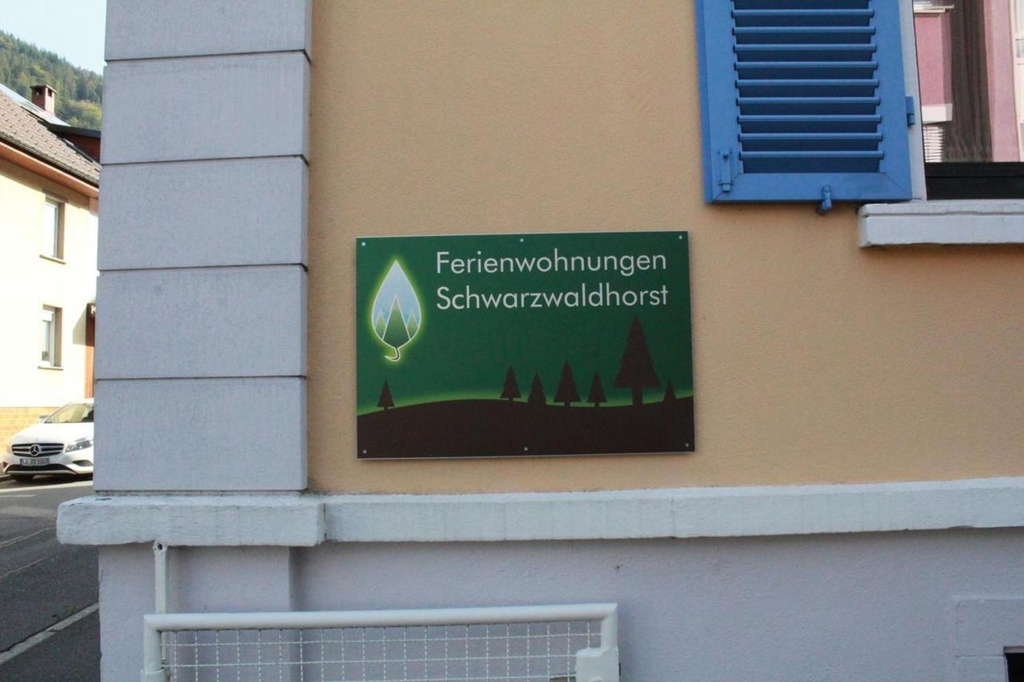 Schwarzwaldhorst 1 Fuer 8 Gaeste In Todtnau, Liftverbund Feldberg ภายนอก รูปภาพ