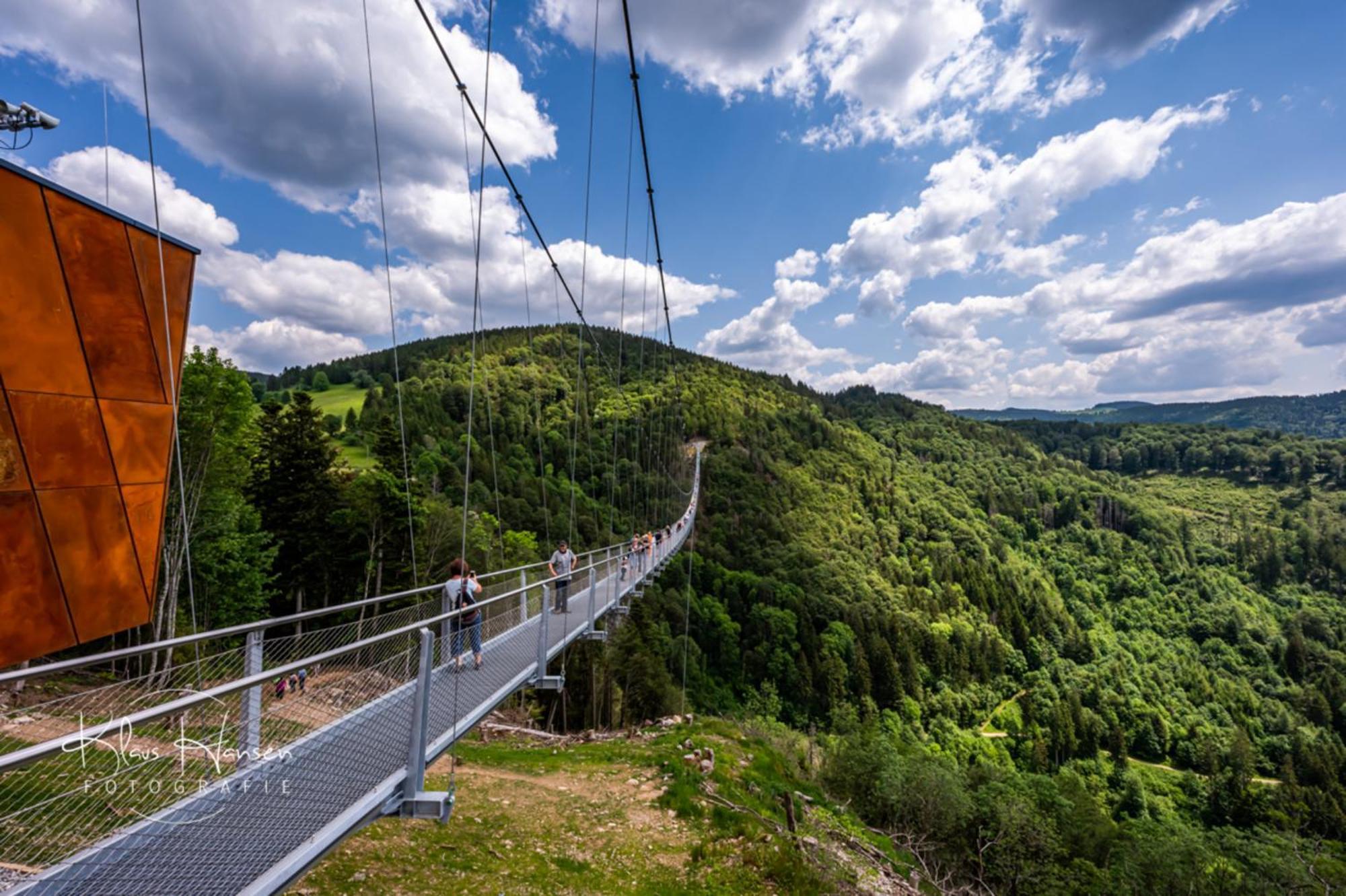 Schwarzwaldhorst 1 Fuer 8 Gaeste In Todtnau, Liftverbund Feldberg ภายนอก รูปภาพ