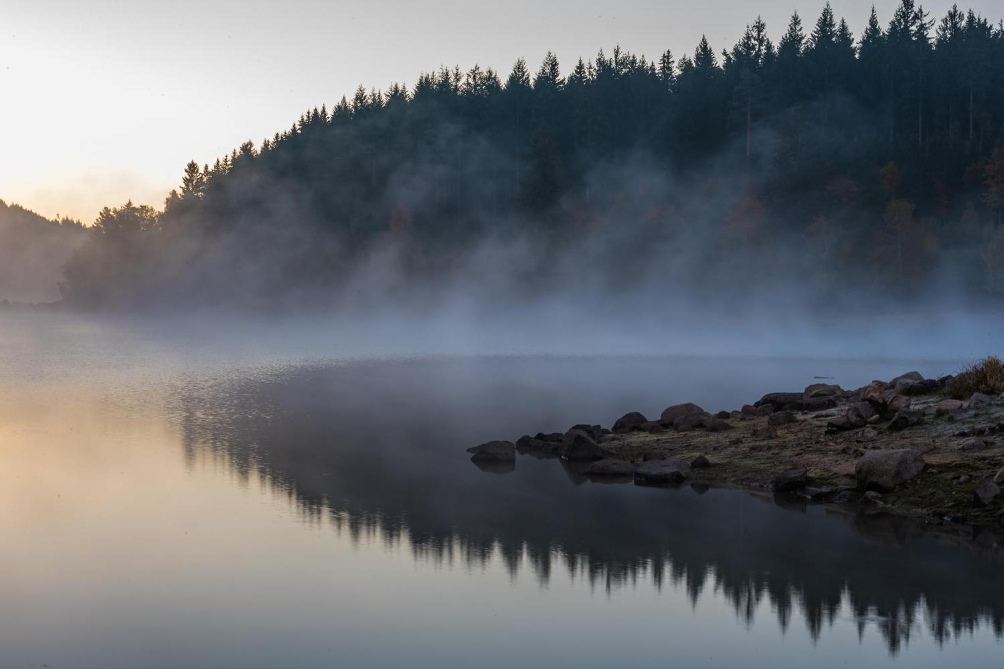 Schwarzwaldhorst 1 Fuer 8 Gaeste In Todtnau, Liftverbund Feldberg ภายนอก รูปภาพ
