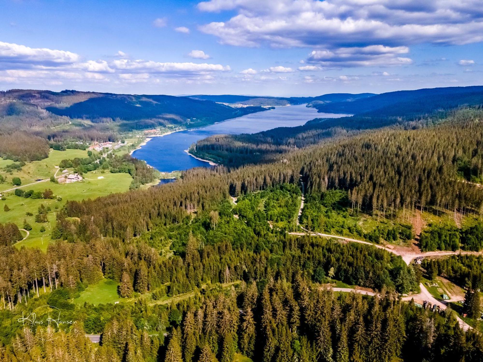 Schwarzwaldhorst 1 Fuer 8 Gaeste In Todtnau, Liftverbund Feldberg ภายนอก รูปภาพ